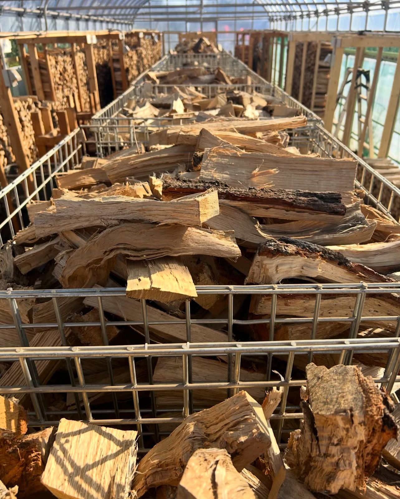 Firewood