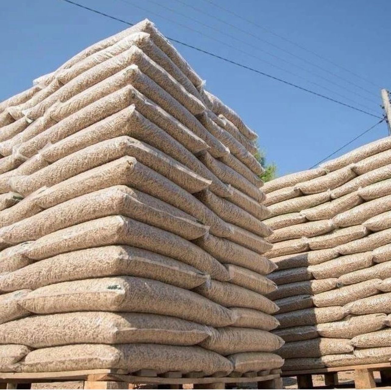 Wood Pellet